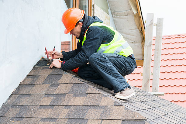 Best Roof Gutter Cleaning  in Wrightsboro, NC